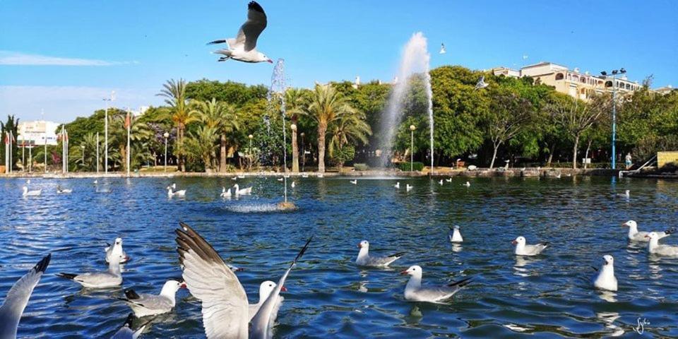 شقة Torrevieja Experience Atico 1ª Linea المظهر الخارجي الصورة